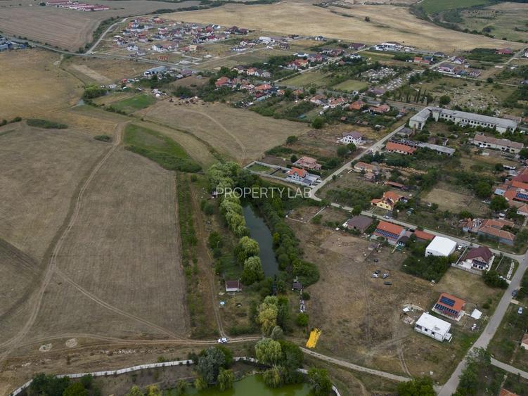Teren de 7900 mp cu baltă de pescuit în Frumușeni - 13
