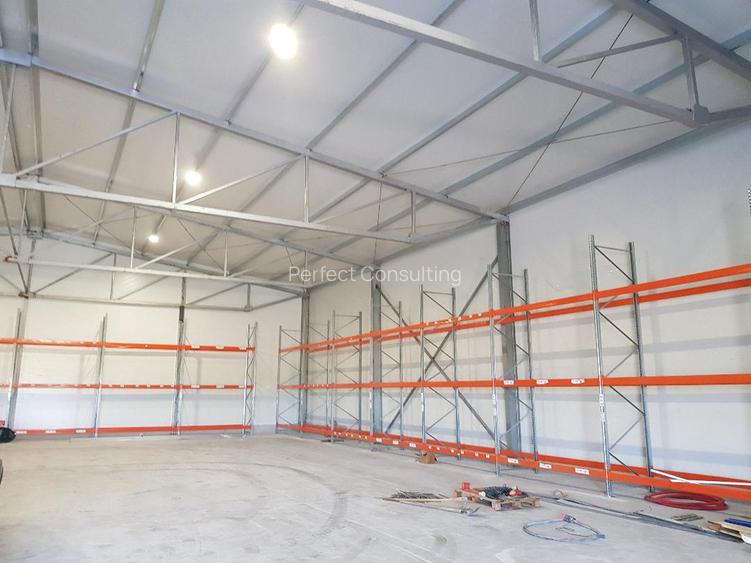 Centura Est hala noua 600mp pentru depozitare - 3