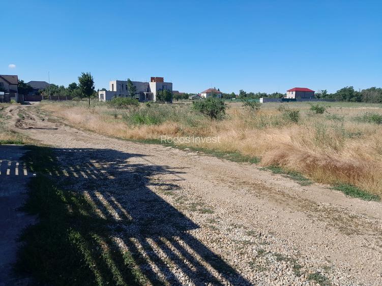 TEREN  INTRVILAN DRAGOMIRESTI - 8