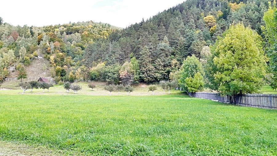 Teren superb de 16240mp, parcelabil, in Bran la intrare in Moeciu de Jos - 15