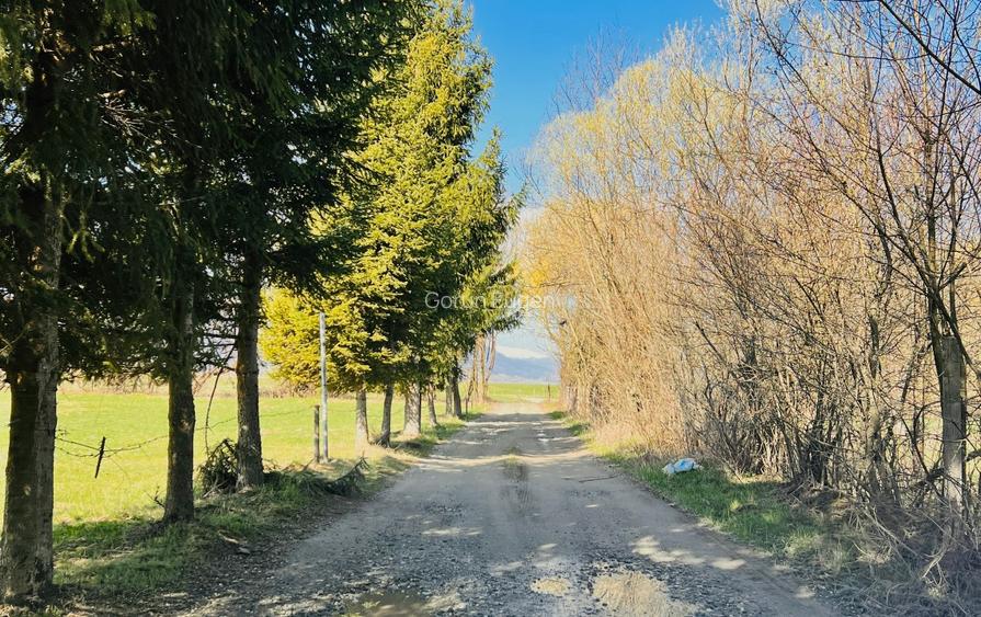 Teren intravilan Râșnov – Glejerie  5 parcele x 1000 mp  Capăt Str. Greierilor - 4