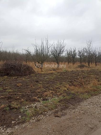 De vânzare terenuri intravilane - 3