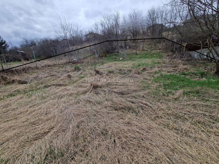 Teren cu toate utilitatile 584 mp, Dezmir zona str Criseni - 3
