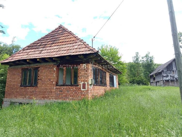 Borlovenii Noi, Teren Drept, 16000mp, la Limita Localitatii - 3