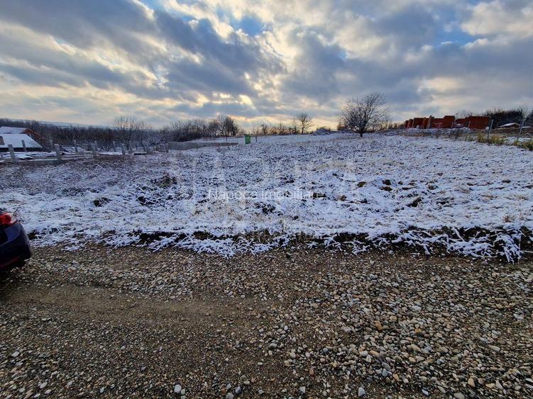 Teren intravilan pentru constructii de vanzare in Podgoria Oradea, Oradea - 4