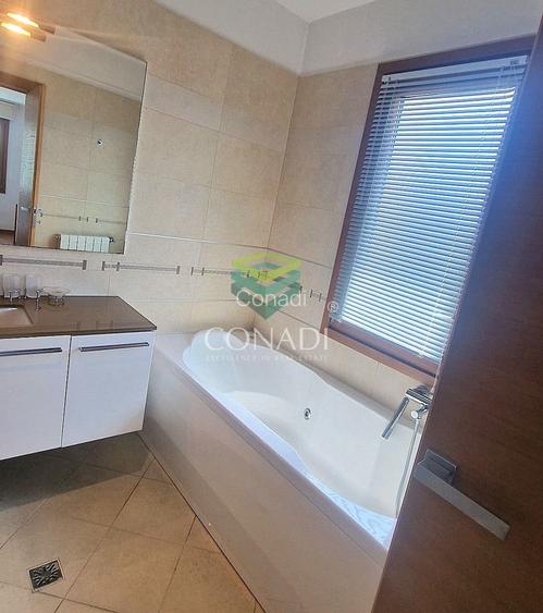 Iancu Nicolae, vila de inchiriat, 5 camere - 9