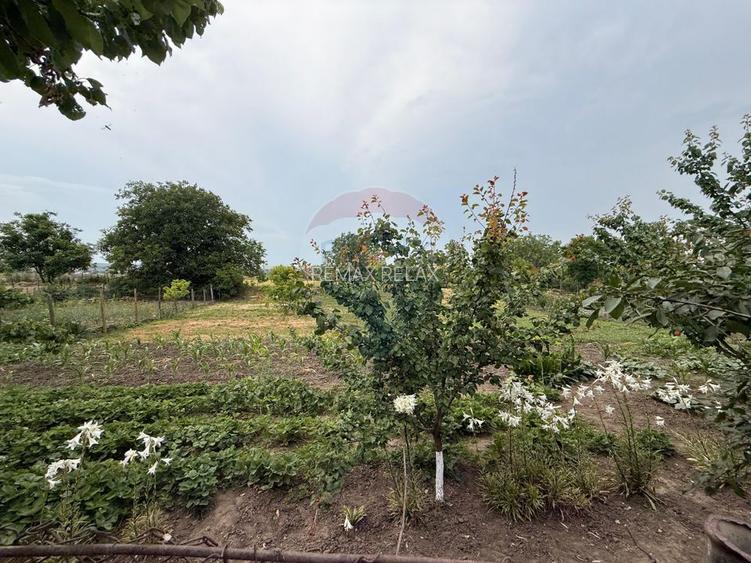 Casă / Vilă cu 6 camere de vânzare - 3