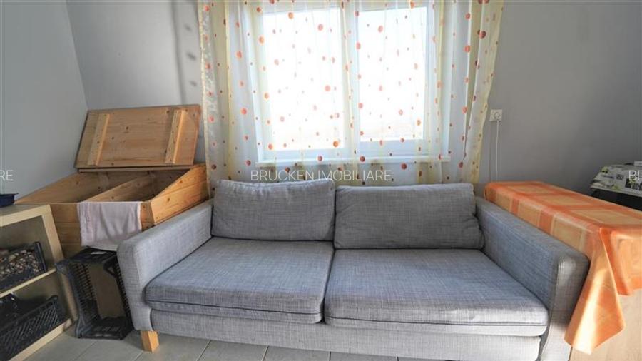MICRO-FERMA + CASA IN VOIVOZI - BIHOR - 15