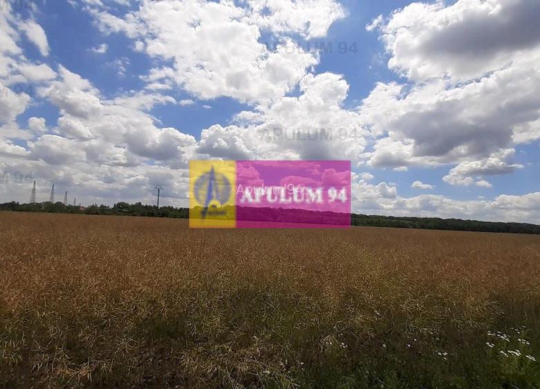 Teren 715mp în Snagov lângă Equestria - 50