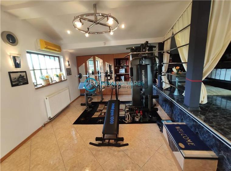 Royal Imobiliare -vanzari vile zona Ultracentral - 27