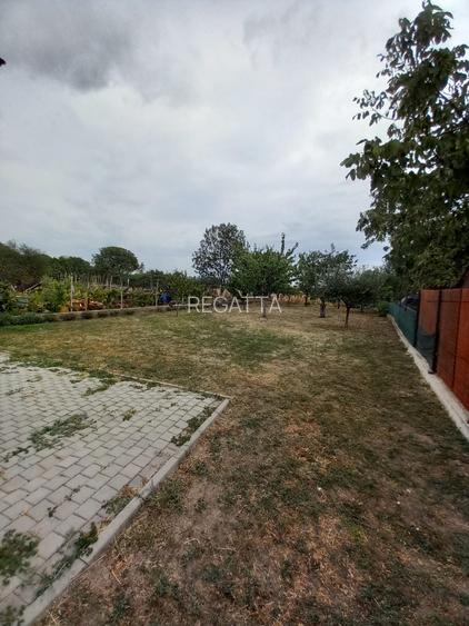 CASA CU TEREN GENEROS IN GRUIU - 36