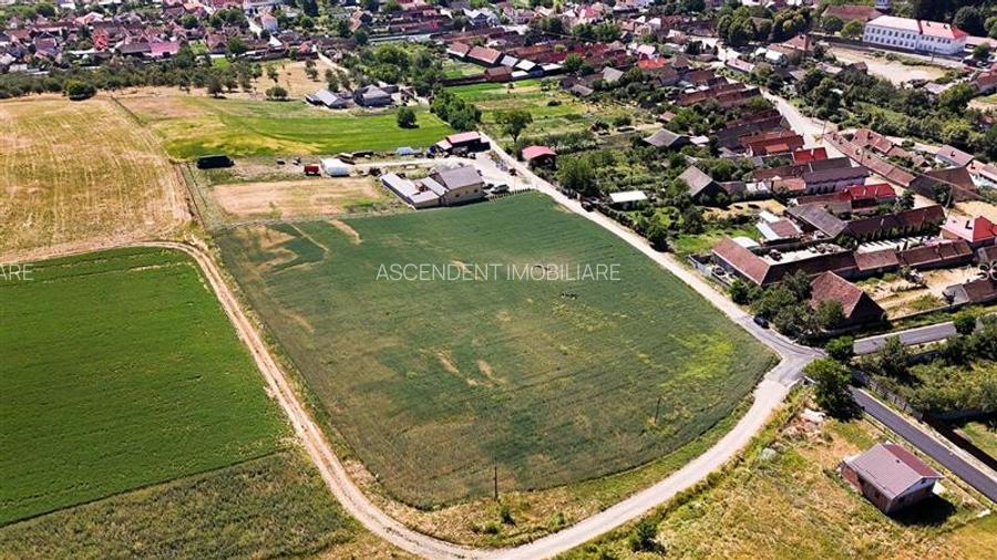 6 loturi casa Maierus,1.375mp,langa DN13, Doripesco,Brasov: 35min, zona verde:FI - 10