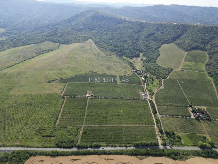 Vie Tradițională „Halta Lupilor” - 35