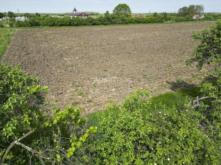 Teren Intravilan de 3,090 mp în Cuvin - 18