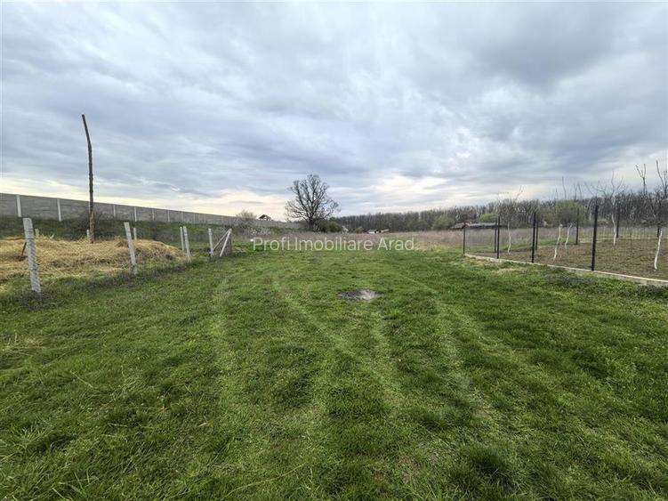 Teren zona agrement padure Vladimirescu - 5