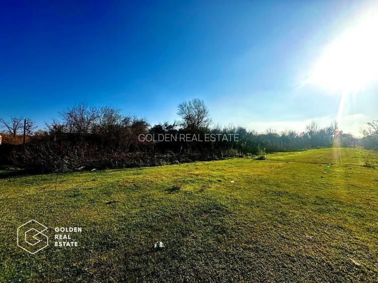 Teren intravilan 71.000mp, Barsa, Renumita Fabrica de caramida si casa 4 camere - 11