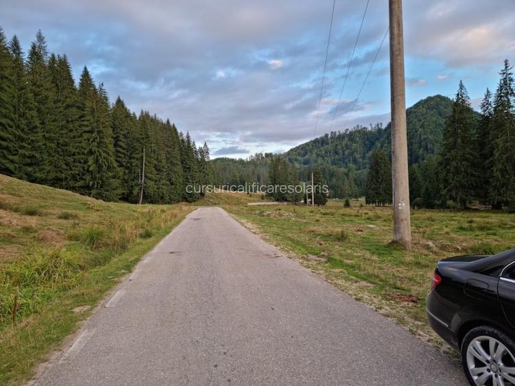 teren de vanzare la munte pentru  cabana - 11