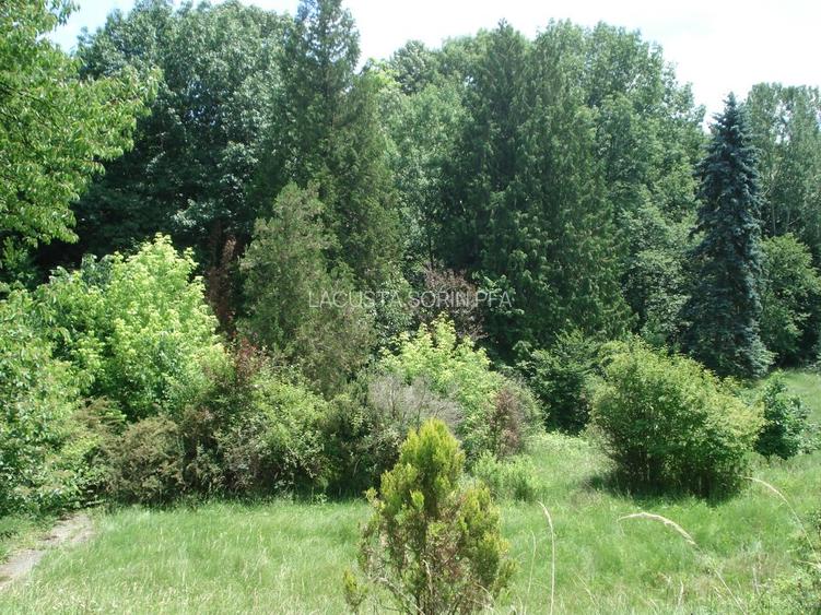 Conac istoric clasa B, 13 ha teren, valoare istorica - 23