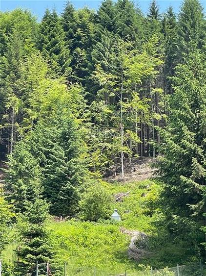 Teren de Vanzare in Timisul de Sus, Brasov - 4