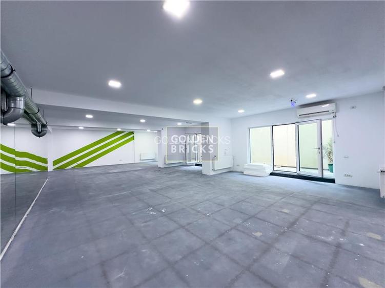 Banu Manta | Piata Victoriei | 230mp | open space - 5