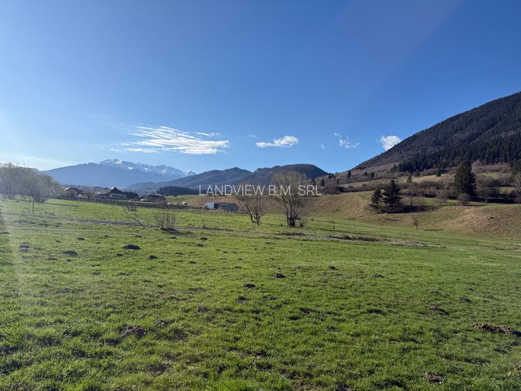 Teren intravilan In Zarnesti zona Plaiul Foii deschidere asfalt si priveliste - 6