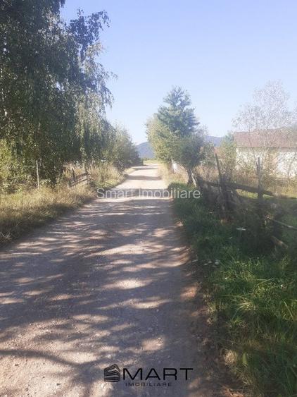 Teren intravilan 4200 mp Tohanu Nou - 3