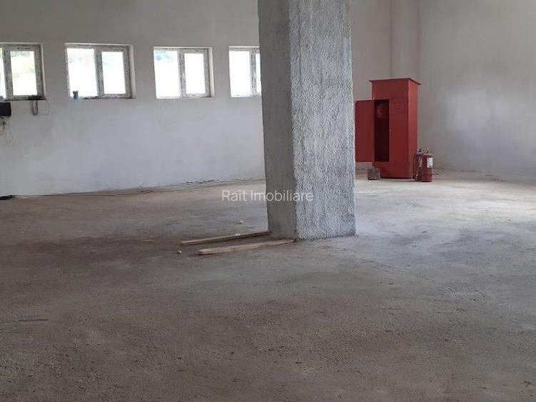 Hala de Inchiriat Godeni Arges - 17