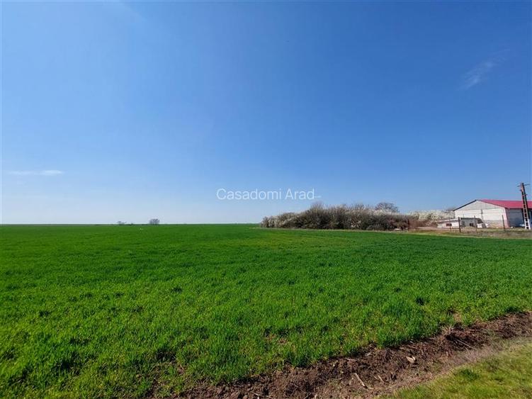 Teren arabil spre Zadareni - 3