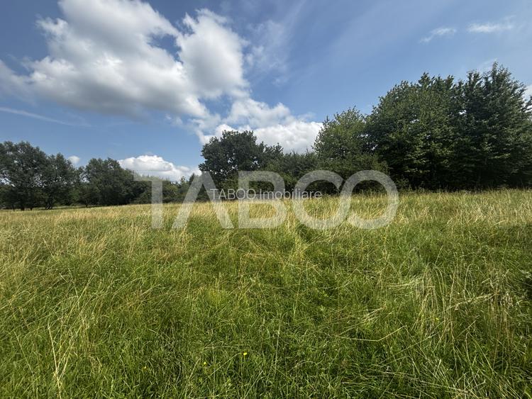 OPORTUNITATE  Teren de vanzare Cisnadie 3100 mp intravilan - 4