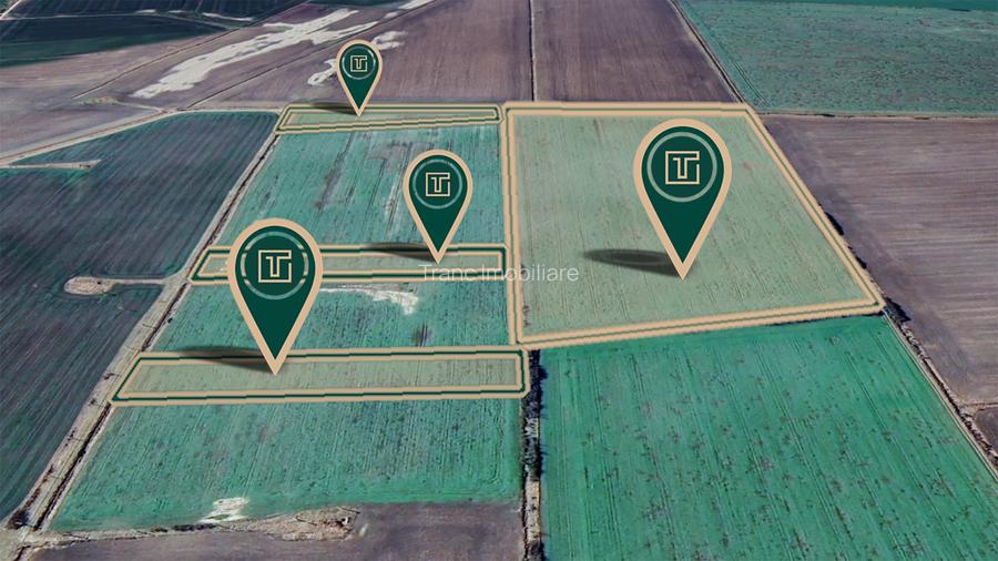 Teren agricol de 11,75 ha de vânzare, la 1,5 km de Turnu, jud. Arad - 3