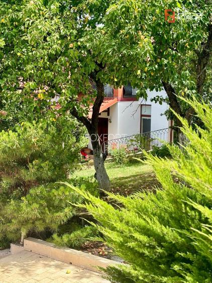 Casa individuala cu 5 camere si teren de 1 hectar - Ghioroc - Arad - 34