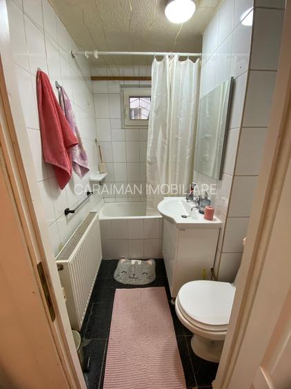 Lacul Tei x Teiul Doamnei, langa Facultatea de Constructii si Parcul Tei - 10