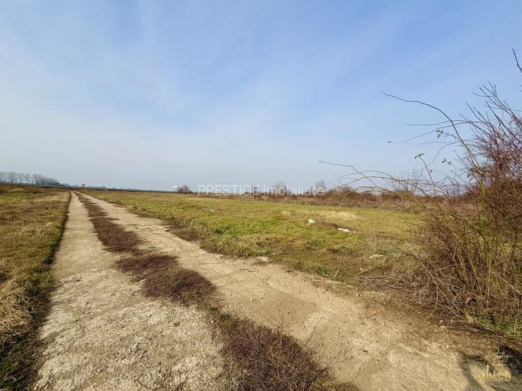 Teren industrial cu acces facil la Autostrada A3 - Calea Borsului - 2