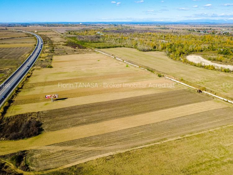 Terenuri industriale cu deschidere la A1, km 64 – Jugureni, Dambovita - 10