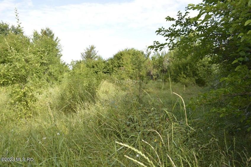 Suseni - Teren intravilan cu casa batraneasca, plan, suprafata 4700 mp! - 14