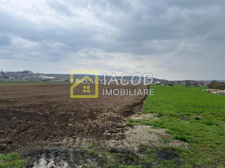 Teren intravilan cu suprafata de 1907 mp, varianta Margineni Hemeiuș, Bacau - 4