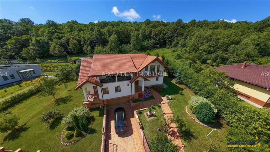 Refined ensemble, elite natural setting, 5 km from Corvin Castle. - 41