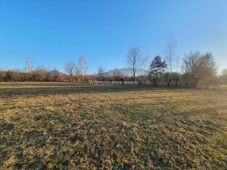 Teren intravilan Bran – Sohodol zona de case - 4