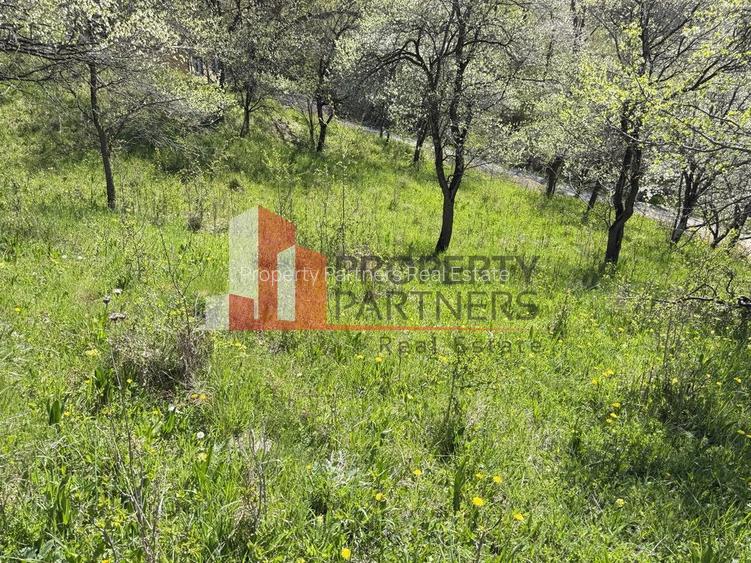 Teren 2500 mp Sohodol - 16