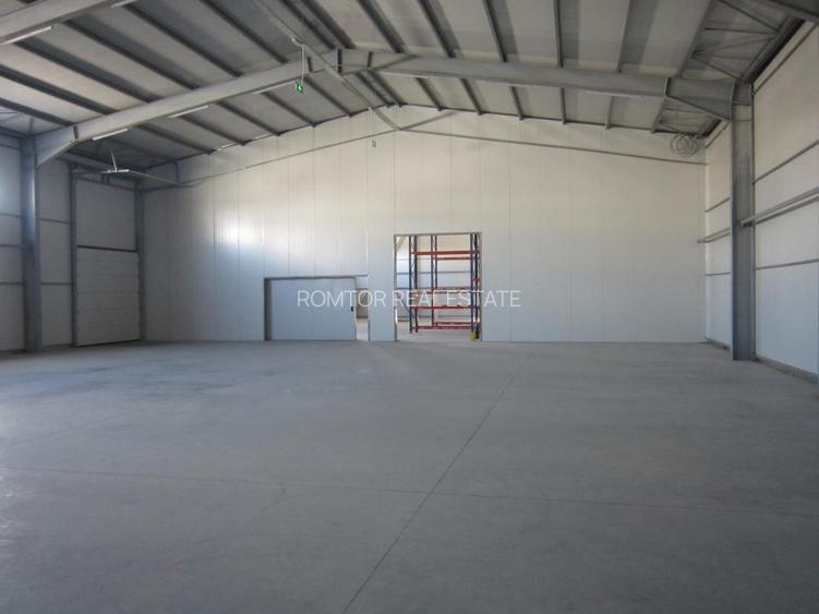 ZONA EST - Theodor Pallady - DRUMUL INTRE TARLALE - A2 - 2