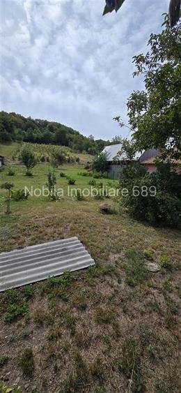 Teren intravilan + extravilan 10.537 mp – casa, livada sau ferma de familie - 15
