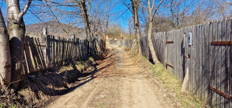 Teren intravilan de 4.000 mp în Bistrița – Alexandru cel Bun - 3