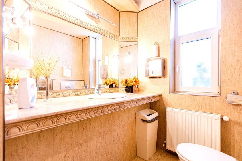 Dumbrăvița, la intrare – casă exclusivistă ideală locuință sau birou - 11