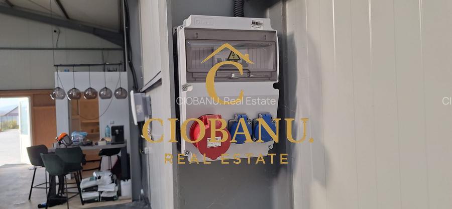 Hala de vanzare in Racarii de Jos - 5