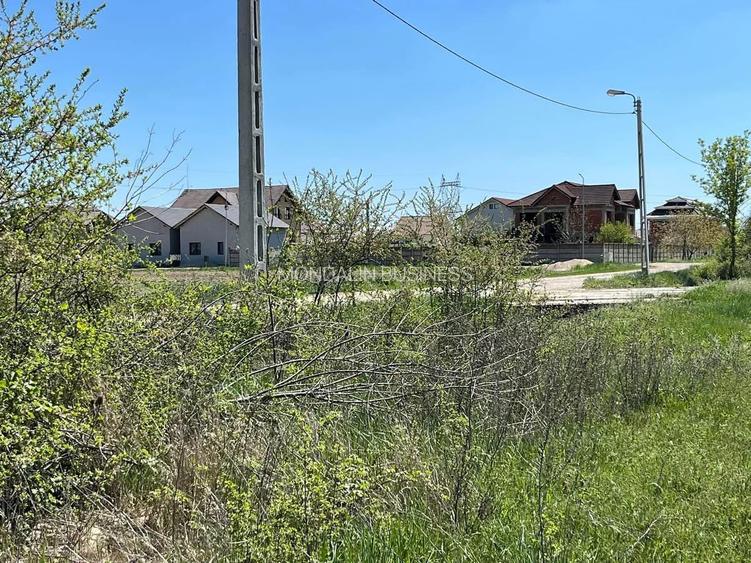 Teren extravilan 4500 MP, cu PUZ, Grigorescu , Oradea. - 4