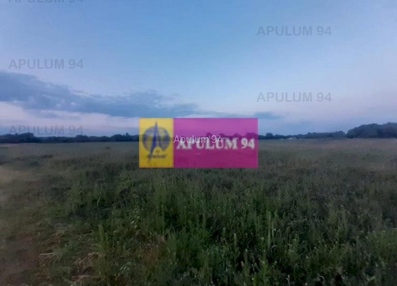 Teren aproape de Bucuresti langa padure - 8