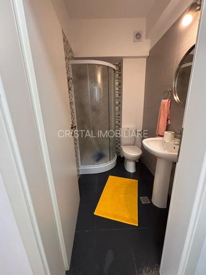 Apartament Premium 3 camere, complet mobilat si utilat,  Brâncuși - 7