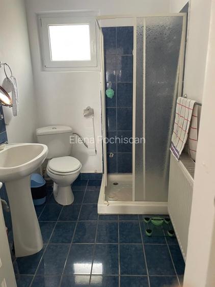 Casa 216mp cu vie si livada, 2500 mp teren – Horodistea, comuna Cotnari, Iasi - 14