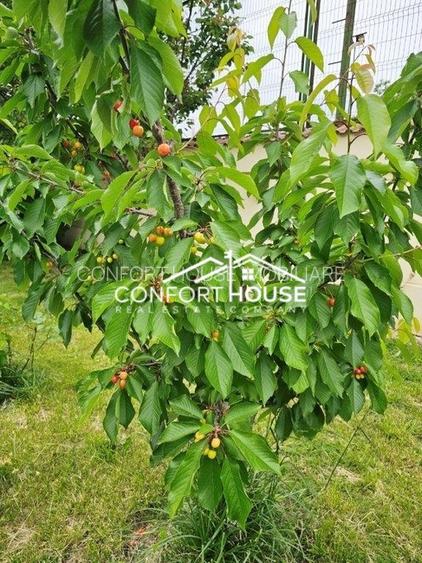 Vila D+P+E+M, teren 898mp, piscina, IANCU NICOLAE-Cambridge School - 58