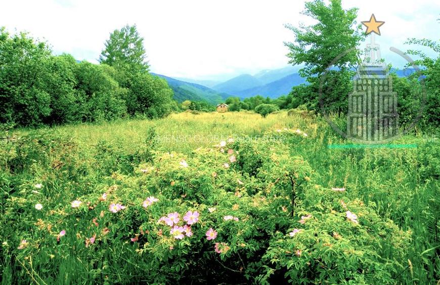 Teren extravilan  potențial turistic ridicat – Dejani, Recea, Munții Făgăraș - 6